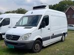 Mercedes-Benz Sprinter 311 2.2 CDI L2/H2 //koelwagen//APK, Gebruikt, Wit, Mercedes-Benz, Bedrijf