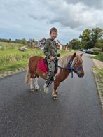 Mooie vosbonte kinderpony, Dieren en Toebehoren, Pony's