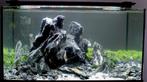 Aquascaping service voor het aquarium!, Ophalen of Verzenden, Nieuw, Plant(en), Steen of Hout