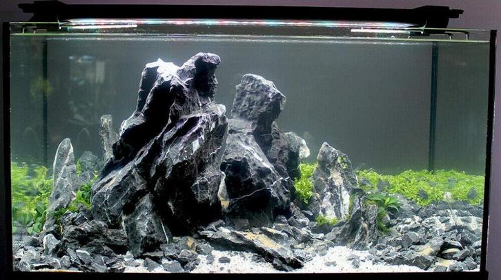 Aquascaping service voor het aquarium!, Dieren en Toebehoren, Vissen | Aquaria en Toebehoren, Nieuw, Plant(en), Steen of Hout