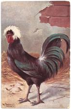 Kaart 1922 - Kip Haan - Illustrator Schonian, Ophalen of Verzenden, 1920 tot 1940, Gelopen, Overige thema's