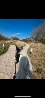 Begeleide buitenritten voor kinderen – Berkel en Rodenrijs, Dieren en Toebehoren, Paarden en Pony's | Overige Paardenspullen, Ophalen