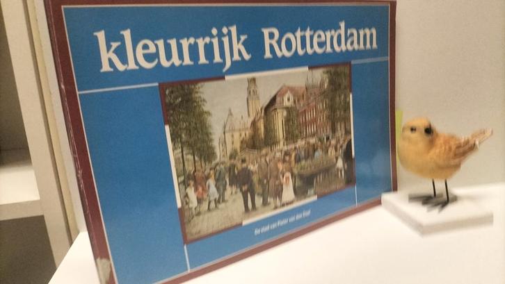 Doel, Pieter van den; Kleurrijk Rotterdam deel 1, Boeken, Geschiedenis | Stad en Regio, Gelezen, 20e eeuw of later, Ophalen of Verzenden