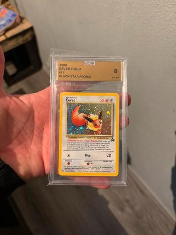 Eevee graded beschikbaar voor biedingen