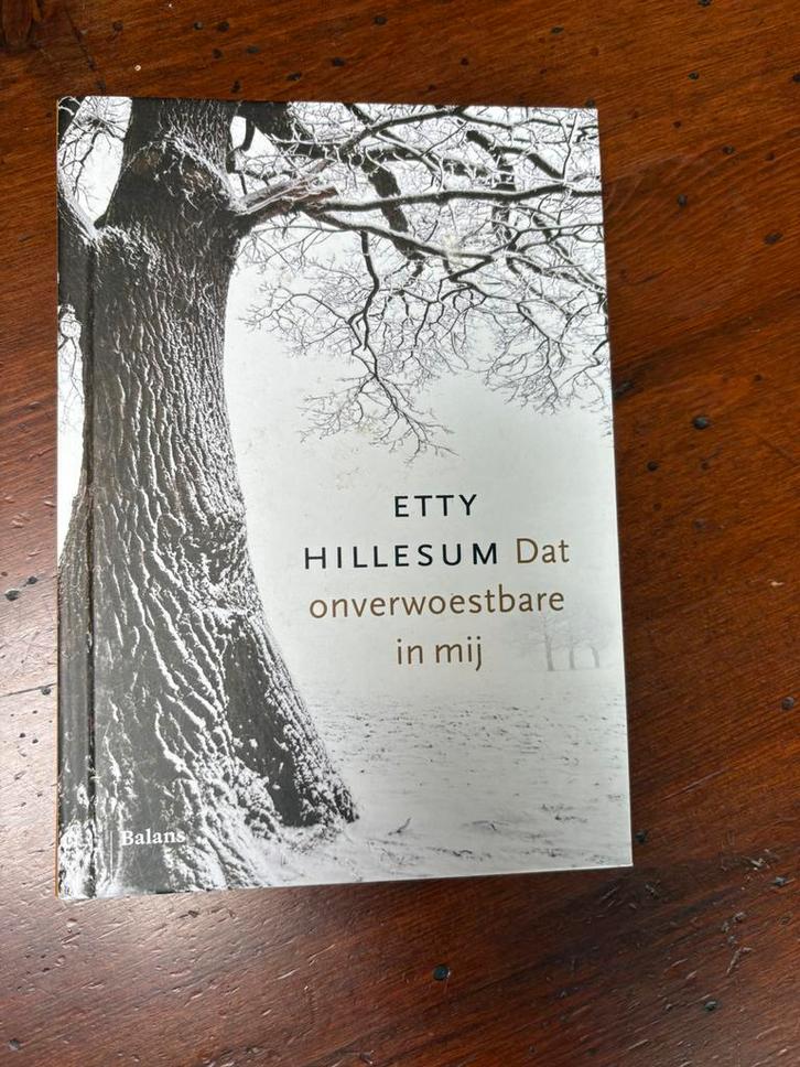 Etty Hillesum - Dat onverwoestbare in mij, Boeken, Overige Boeken, Zo goed als nieuw, Ophalen of Verzenden