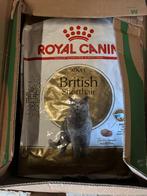 Royal Canin British Shorthair Adult - Kattenvoer, Ophalen, Kat