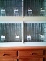 broedkooien, Dieren en Toebehoren, Vogels | Hokken en Kooien, Ophalen of Verzenden, Zo goed als nieuw, Kunststof, Broedkooi of Kweekkooi