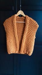 Gilet, Ophalen of Verzenden