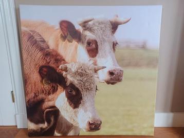 Wanddecoratie posters voor buiten of binnen met koeien beschikbaar voor biedingen