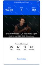 1x Shawn Mendes Amsterdam concert ticket, Eén persoon