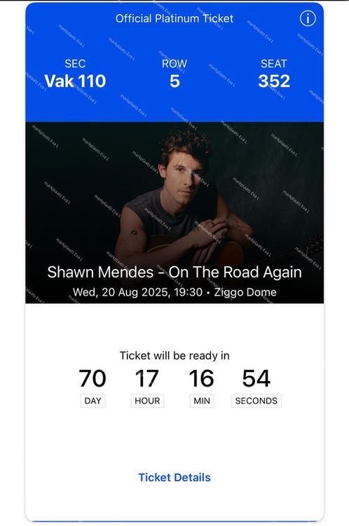 1x Shawn Mendes Amsterdam concert ticket, Tickets en Kaartjes, Concerten | Pop, Eén persoon