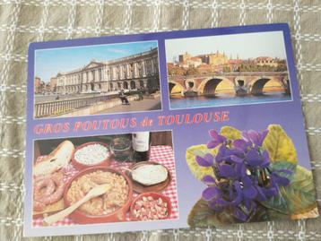 Gros poutous de Toulouse - 4 afbeeldingen beschikbaar voor biedingen