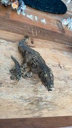 Schleich krokodil en jong, Verzamelen, Speelgoed, Ophalen of Verzenden, Zo goed als nieuw