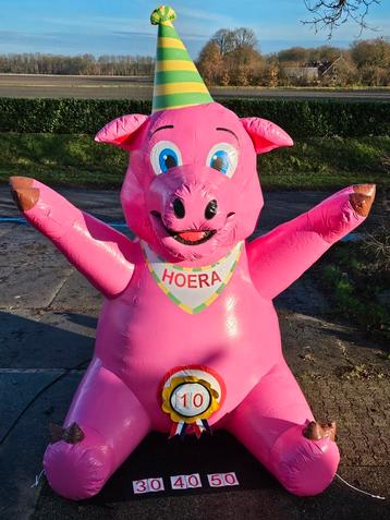 Feestvarken te huur!!! beschikbaar voor biedingen