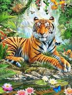 Diamond painting tijger 30x40, Hobby en Vrije tijd, Knutselen, Nieuw, Ophalen of Verzenden, Knutselwerk