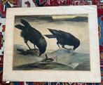 Litho plaat A.J. van 't Hoff - Vogels, kauwen in de sneeuw, Antiek en Kunst, Ophalen of Verzenden