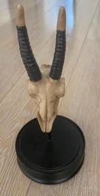 Skull op zwart houten standaard, 27cm hoog, nieuw, Ophalen of Verzenden, Nieuw