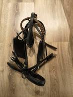 Menhoofdstel full, Dieren en Toebehoren, Paarden en Pony's | Hoofdstellen en Tuigage, Ophalen of Verzenden, Overige soorten