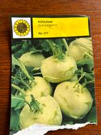 Groente plantjes voor de moestuin, Tuin en Terras, Planten | Tuinplanten, Ophalen, Volle zon, Groenteplanten, Eenjarig