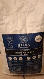 Puppy hondenbrokken, Ophalen, Hond