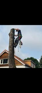 Klimmend boom kappen / afvoer / versnipperen / stobbenfrees, Ophalen of Verzenden, Volle zon, Overige soorten