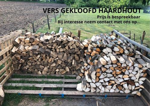 Haardhout eiken, haardhout eiken, kachelhout, Tuin en Terras, Haardhout, Blokken, Eikenhout, 6 m³ of meer, Ophalen of Verzenden