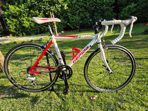 kinderracefiets gepida bandon 410 24inch, Fietsen en Brommers, Fietsen | Racefietsen, Gebruikt, Overige merken, Meer dan 20 versnellingen