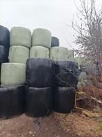 Kuilbalen 200 Stuks €35,- per stuk, Dieren en Toebehoren, Ophalen, Vee