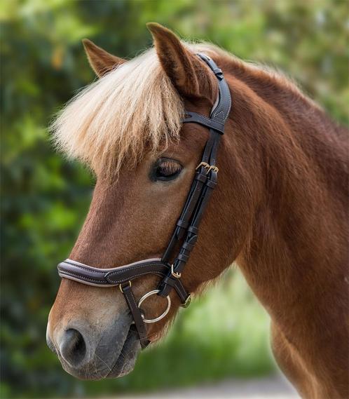 Nieuw IJslander hoofdstel Anatomisch Bruin, Dieren en Toebehoren, Paarden en Pony's | Hoofdstellen en Tuigage, Nieuw, Ophalen of Verzenden