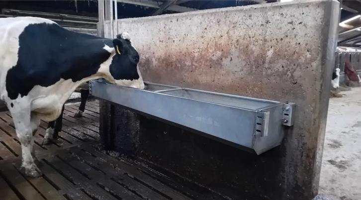 Loopstal drinkbak veedrinkbak RVS sneldrinker waterbak, Dieren en Toebehoren, Overige Dieren-accessoires, Nieuw, Verzenden