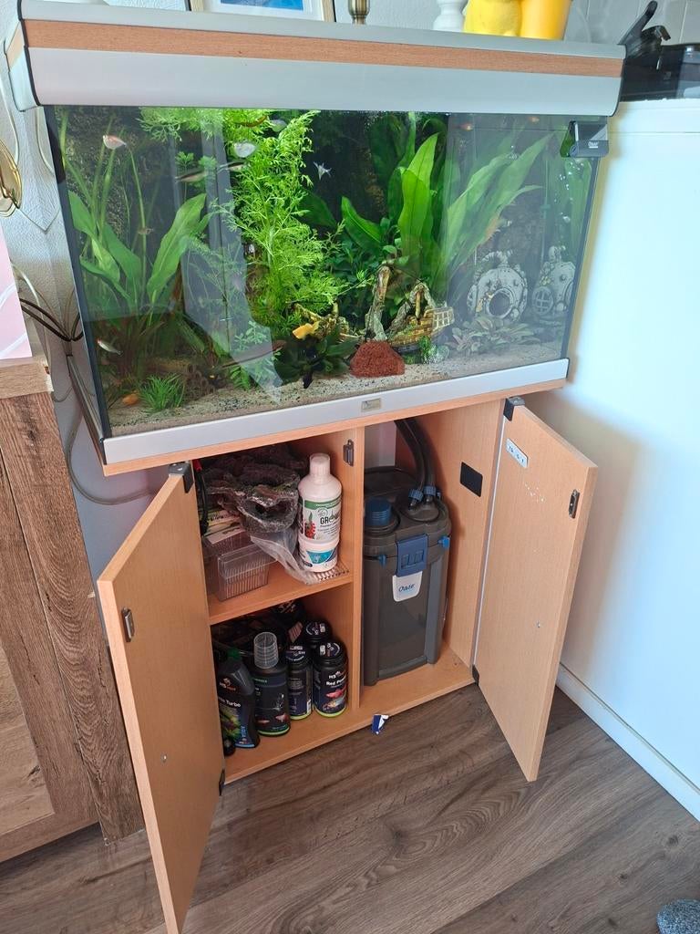 Zo goed als nieuw, direct beschikbaar, Dieren en Toebehoren, Vissen | Aquariumvissen, Vis