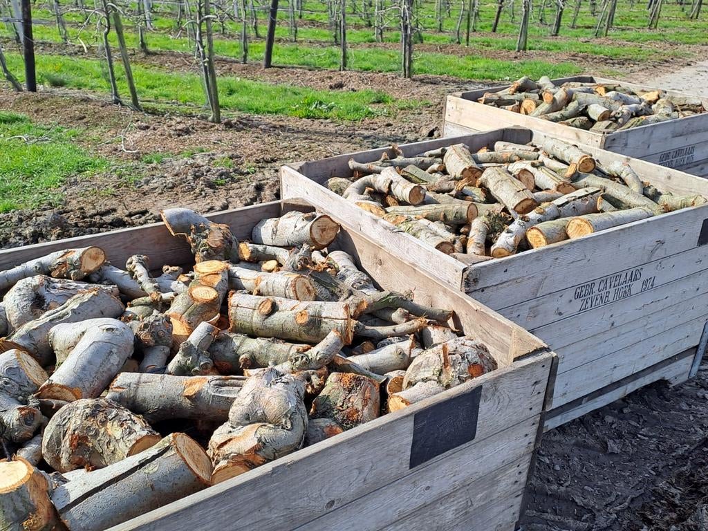 Appelhout Kachelhout Haardhout te koop!, Tuin en Terras, Haardhout, Ophalen