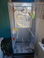 Kamervoliere met vogels, Ophalen, Zo goed als nieuw, Metaal, Vogelkooi