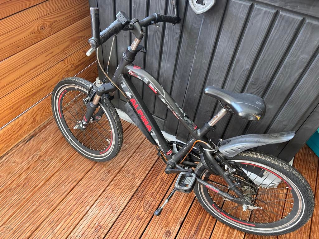 Alpina fiets 20 inch, Ophalen, Gebruikt, 20 inch, Handrem