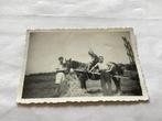 Vintage foto: Drie personen met paard en hooi afm is 6x9 cm, Gebruikt, Foto, Ophalen of Verzenden, Voor 1940