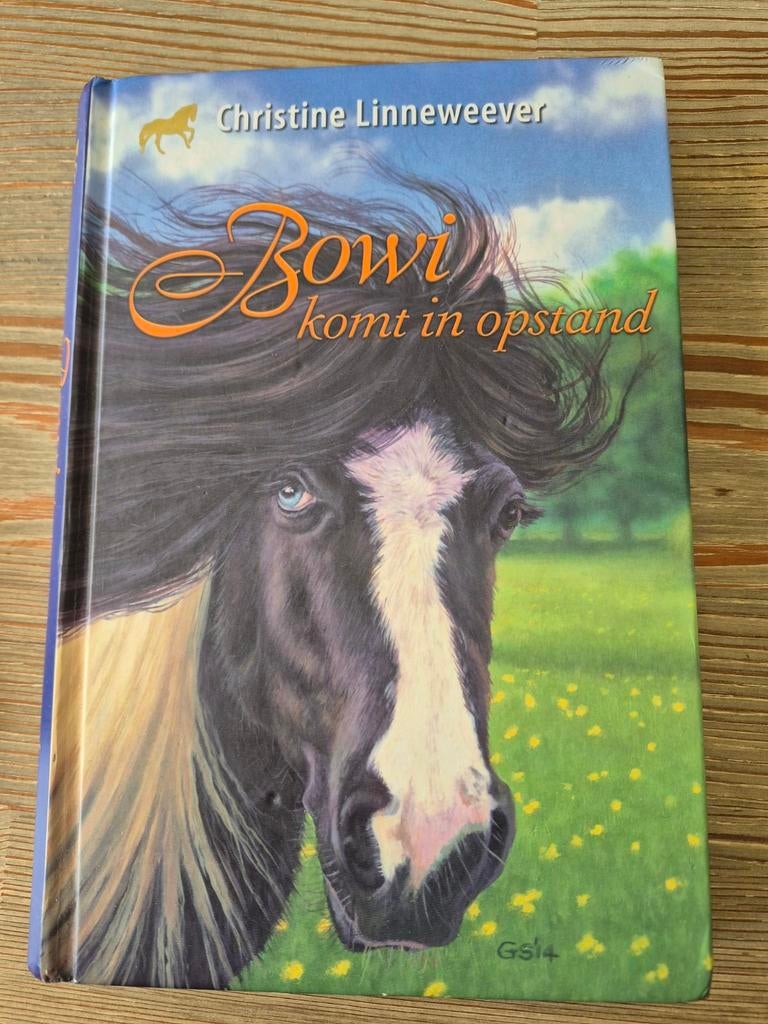 Christine Linneweever - Bowi, Ophalen of Verzenden, Zo goed als nieuw, Fictie, Christine Linneweever