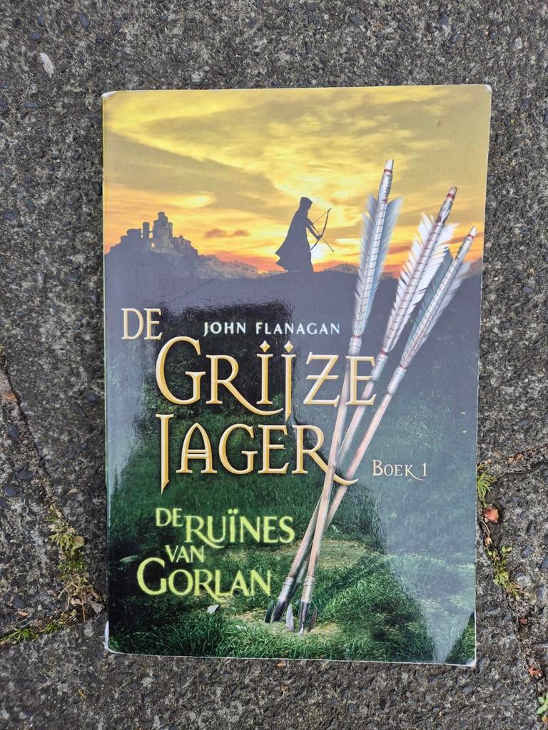 De Grijze Jager Boek 1: De Ruïnes van Gorlan, Boeken, Ophalen of Verzenden