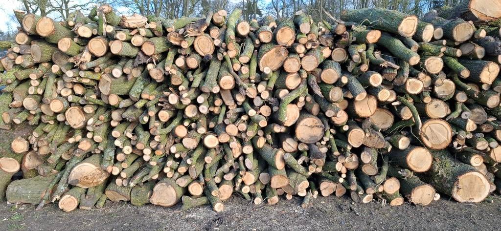 Haardhout Eik, Tuin en Terras, Haardhout, 6 m³ of meer, Ophalen, Eikenhout, Stammen