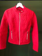 GUESS jas, Guess, Ophalen of Verzenden, Zo goed als nieuw, Maat 36 (S)