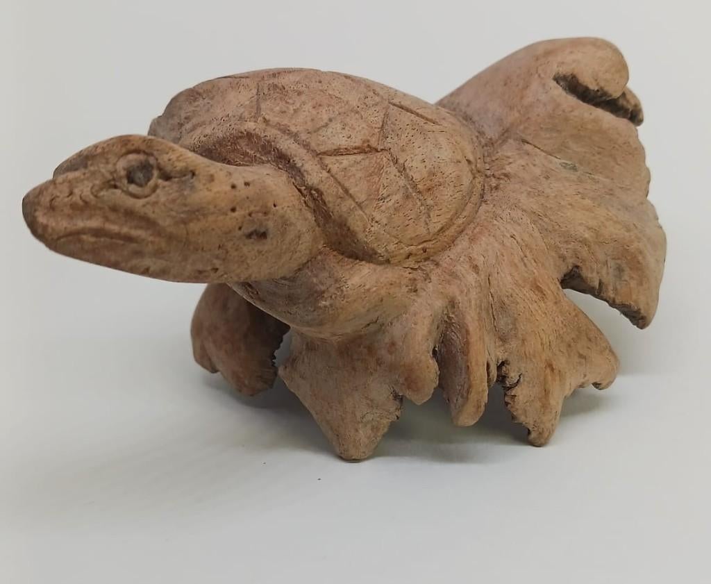 Schildpad handgesneden uit stuk Boomstam, Antiek en Kunst, Kunst | Beelden en Houtsnijwerken, Ophalen of Verzenden