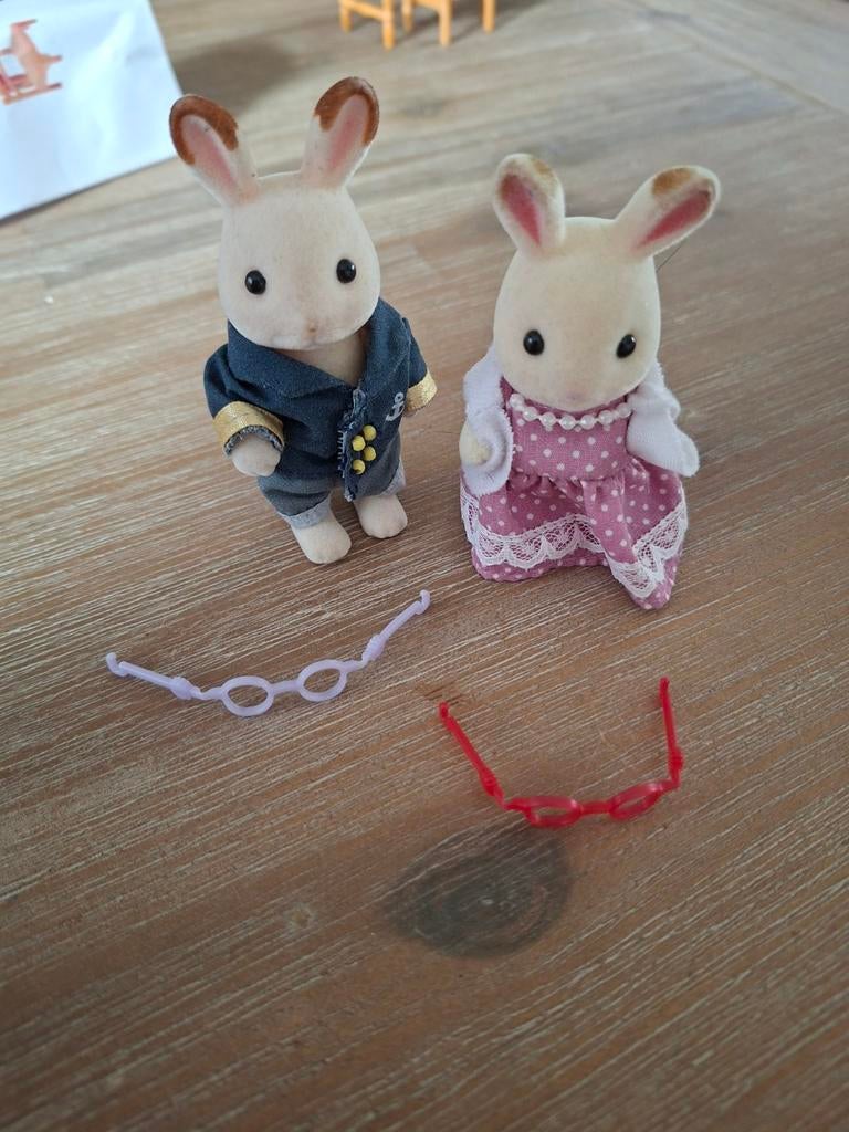 Sylvanian konijnen met kleding en brillen, Ophalen of Verzenden, Meisje