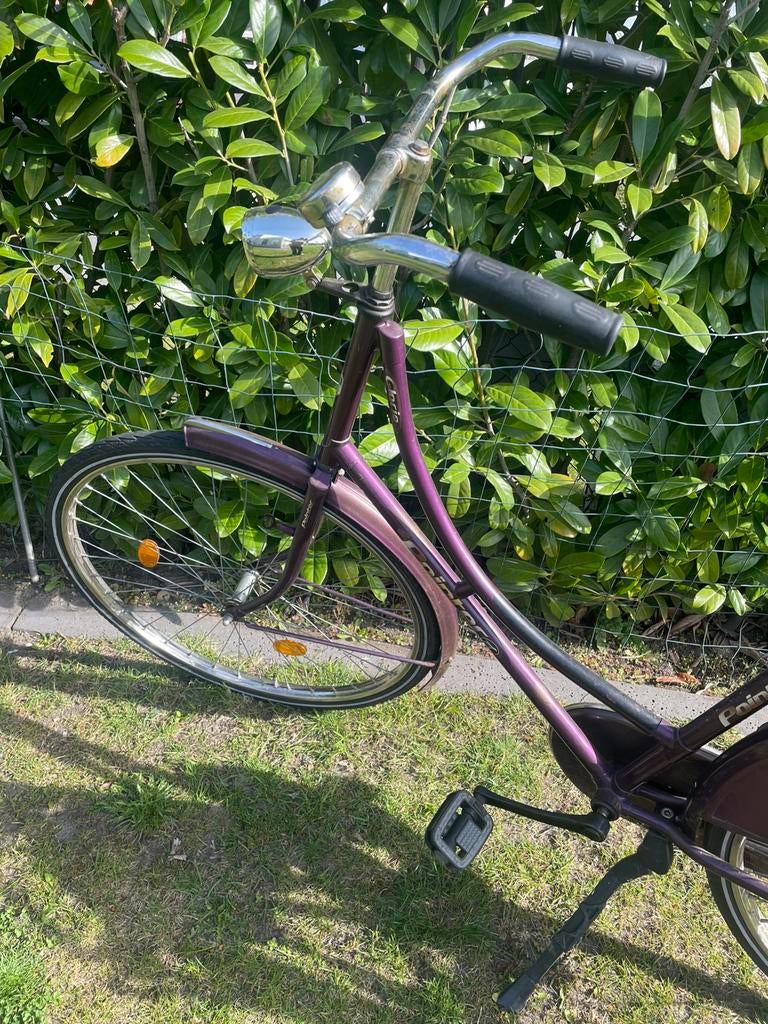 Pointer fiets paars, Ophalen, Gebruikt, Minder dan 16 inch