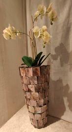 Prachtige Luxe Schelpenvaas 60cm – Eric Kuster Style, Ophalen, Zo goed als nieuw, Overige kleuren, 50 tot 75 cm