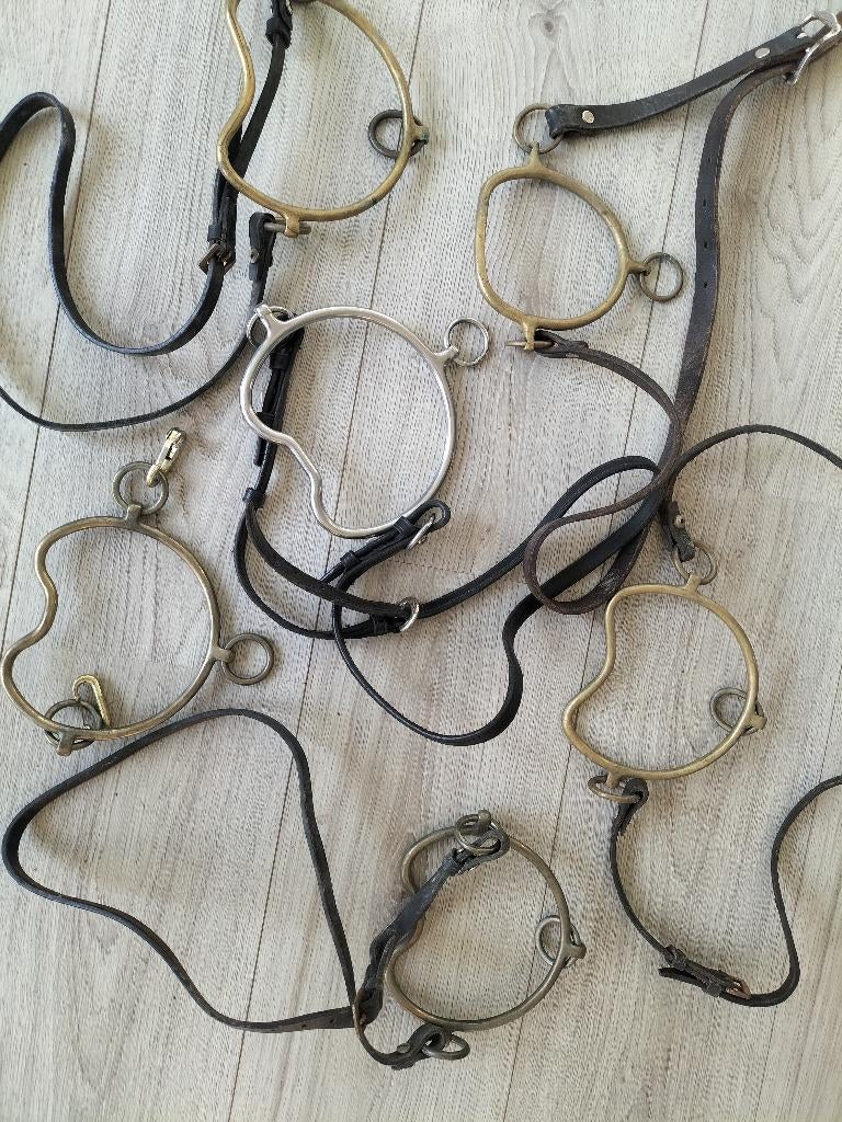 Chifney - steigerbit - hengstenbit 6x, Dieren en Toebehoren, Ophalen of Verzenden, Gebruikt, Overige soorten