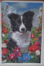 Border collie in diamond painting 40x60cm, Ophalen, Zo goed als nieuw