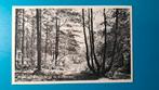 Nijverdal Bos-idylle op de Klinkenbelt, Verzamelen, Ophalen of Verzenden, 1960 tot 1980, Ongelopen, Overijssel