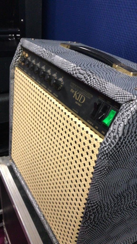 KittyHawk,Davoli 78,DST-4 Pre.Marshall 8280 PeaveyRage Line6, Ophalen, Buis of Buizen