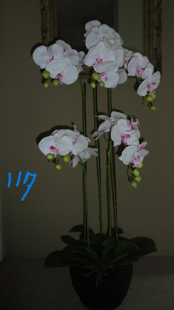 bijna nieuw kunstplant vlinderorchidee H117 B48cm, Ophalen, Binnen, Kunstplant, Zo goed als nieuw