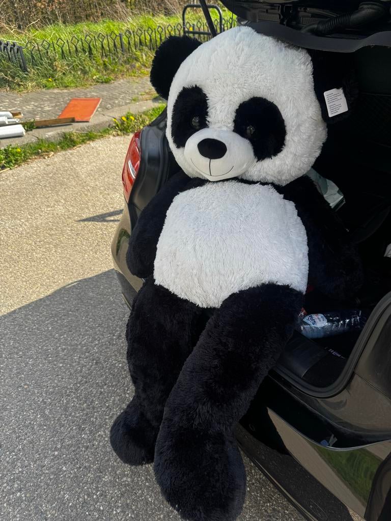 Grote panda knuffelbeer 210cm nieuw, Ophalen, Beer, Nieuw, Met label
