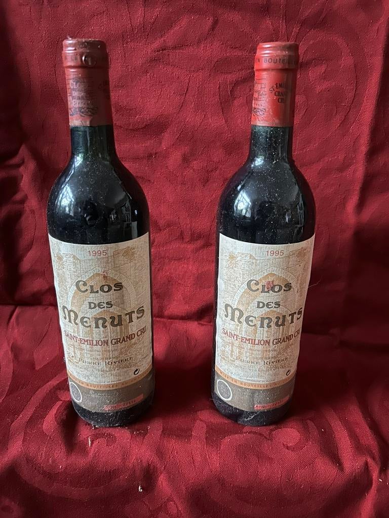Saint Emilion Grand Cru - Clos des Menuts 1995, Ophalen, Zo goed als nieuw, Frankrijk, Rode wijn
